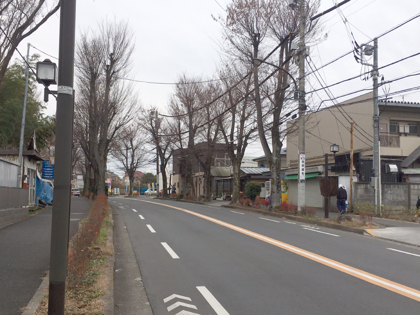 東京2020オリンピック聖火リレー清瀬コース